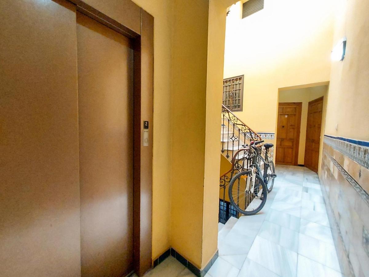Apartamento Alameda Calatrava セビリア エクステリア 写真